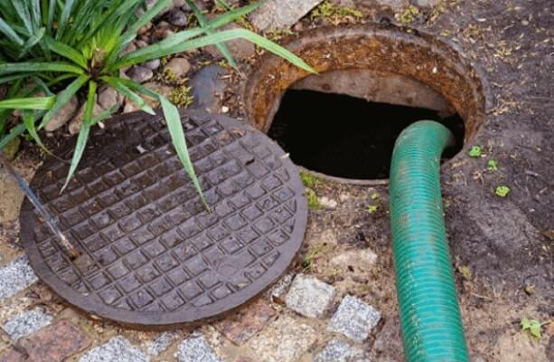 Bacteria Improve Septic Tank